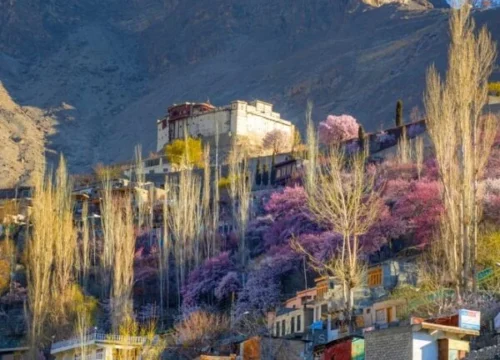 7 DAYS HUNZA, KHUNJERAB PASS, AND MINAPIN NAGAR CHERRY BLOSSOM / AUTUMN TOUR